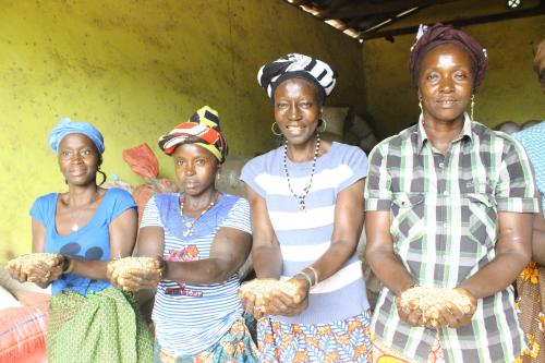 Kadiatu from right, poses with other women from the group with rice seeds.